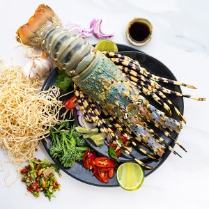 Tôm Hùm Bông - Sống