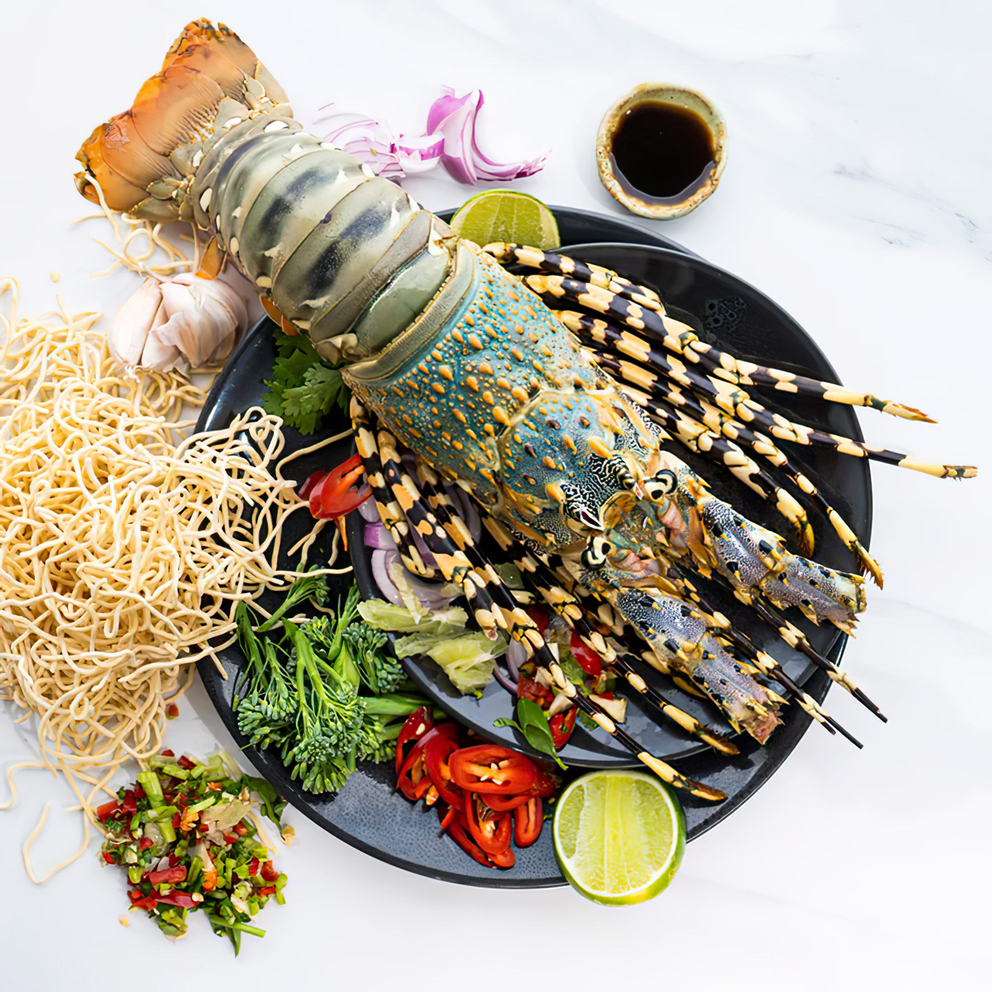 Tôm Hùm Bông - Sống