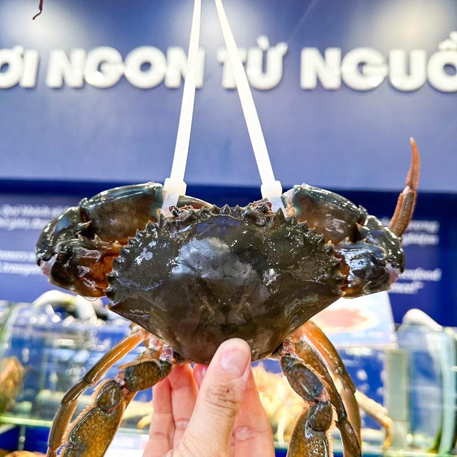 Cua Thịt Cà Mau Không Dây - Sống