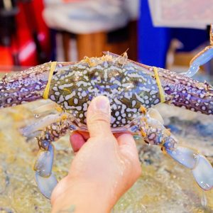 Ghẹ Xanh Loại 1 - Sống