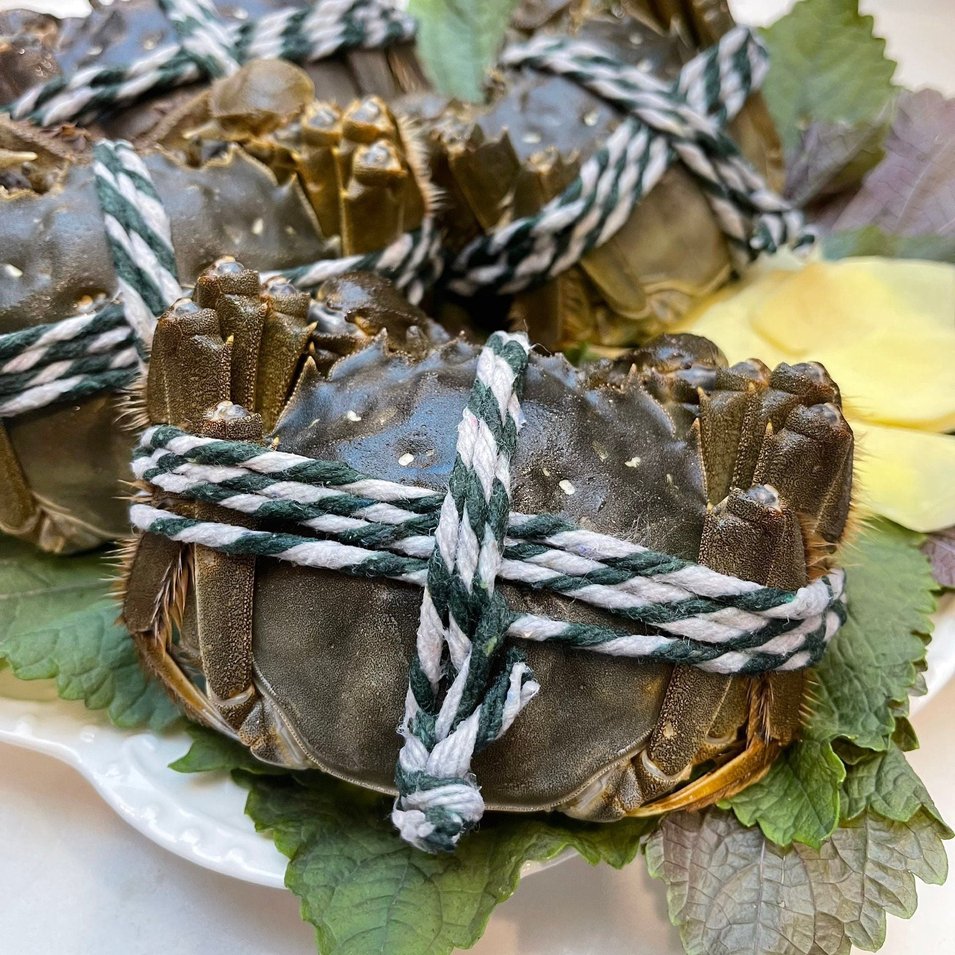 Cua Lông Thượng Hải (Cua cái size 4-6 Con/Kg) - Sống